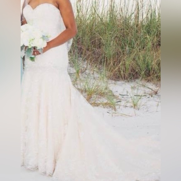 "Elegant 2016 Wedding Dress for Sale – Perfect Condition!" - Picture 7 of 8